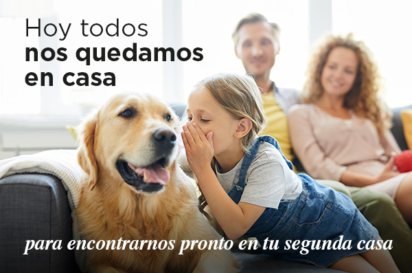 Hoy todos nos quedamos en casa, para encontrarnos pronto en tu segunda casa